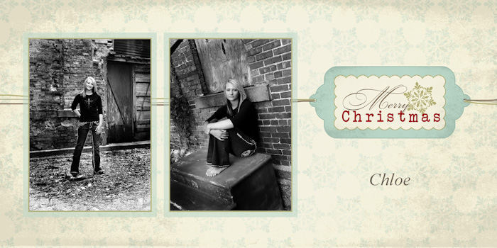 Holiday Cards | 4x8 Photo Cards | Horizontal